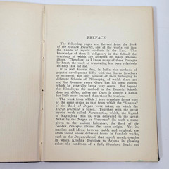 Voice of the Silence HP Blavatsky Vtg 1928 HC Theosophy Company Occult Esoteric