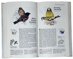 Reader’s Digest Book of North American Birds 1990 600 Species 576 Pages Illos