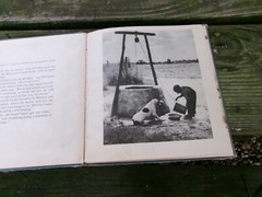 2 Children’s Book Pub. by Oxford University Press, FLOP-EARED HOUND/Real Photos