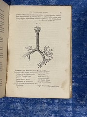 2- Rare Antique Books on Practice of Medicine Quiz-Compends Anatomy & Surgery