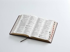 Biblia Letra Súper Gigante 19 puntos RV1960, imit piel café geométrico Con Índic
