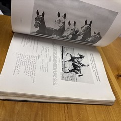 The OFFICIAL HORSE SHOW BLUE BOOK 1934 – The Equine Hall of Fame Equestrian 28th