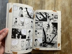Shinchosha dragonfly of this Yoshiharu Tsuge dream and the journey of the wo…