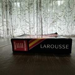 Larousse Concise Spanish – English, English-Spanish Dictionary by Larousse Staff