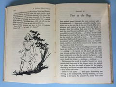 A Cabin for Crusoe by David Severn. Illus. by J. Kiddell-Monroe. Adventure Story