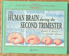 Human Brain During the Second Trimester, Hardcover by Bayer, Shirley. Sealed New