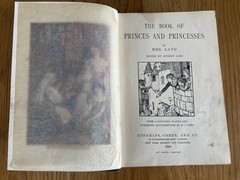 Princes and Princesses. Edited by Andrew Lang. Illus by Henry Ford. 1908 1st Ed.