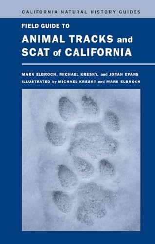 Field Guide to Animal Tracks – Paperback, by Mark Elbroch; Michael – Very Good