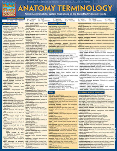 Anatomy Terminology (Quick Study Academic) – Pamphlet By BarCharts, Inc. – GOOD