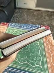 The Great Ribs Book & The Great Salsa Book – Pair of Flex Cover Books Lot of 2