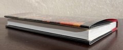 SIGNED ~ QUESTIONING THE MILLENNIUM Stephen Jay Gould (1997, Hardcover) 1st/4th