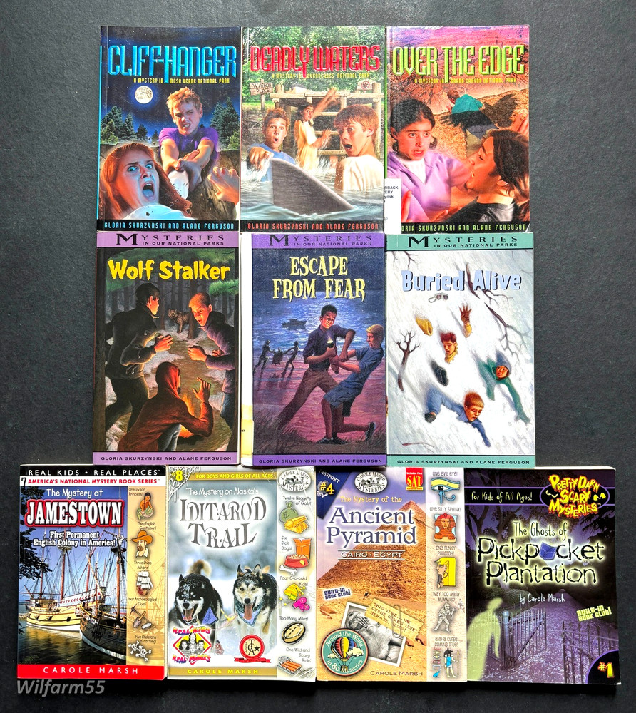 10 Lot Historic Mystery Books In Our National Parks & Carole Marsh Mysteries