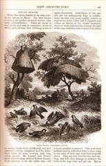 1878 Scribner’s Monthly May-October (912 Pages!) Engravings