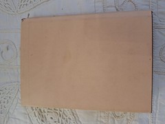 Judahs Sceptre and Josephs Birthright by J H Allen 1917 Analysis of Prophecies
