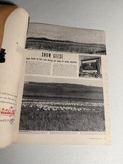 Life Magazine Lot of 8; 1942-44: Admiral Nimitz, B-29’s, Infantry, Chinese +