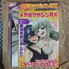 Megami Magazine RX Vol13 Vol14 set