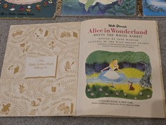 Lot 9 Disney Little Golden Books Lion King Mermaid Cinderella Pinocchio Bambi