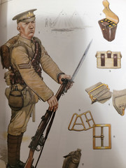 British Infantry Equipments 1808-1908 by Mike Chappell (1980, Trade Paperback)
