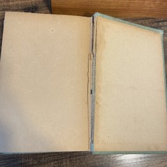BERT WILSON In The Rockies by J.W. Duffield 1924 George Sully & Co HB