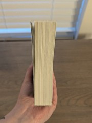 Indie OOP Leave Me Behind by K.M. Moronova paperback