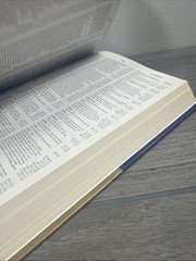 Comprehensive Concordance of the Bible by William D. Mounce (2012, Hardcover)