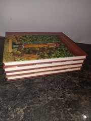Childrens Classics Adapted and Illustrated Box Set Of 4 Hardcover Books
