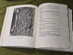 Catalogue of the Trees and Shrubs At Westonbirt 1927 Oxford University Press