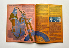 OZ MAGAZINE No.35. Blue pig cover variant.
