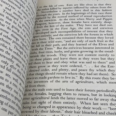 MASTER OF MIDDLE EARTH, THE FICTION of J R R TOLKIEN by Kocher 1972