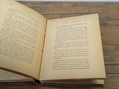 Antique Lot of 3 Books – c. 1910s Little Prudy Series by Sophie May