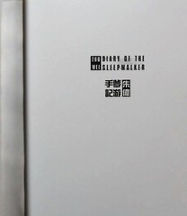 Diary of the Sleepwalker Zhu Wei Art Book Hardcover 11.8×8.7in 2cm Spine