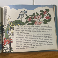 Picture Book of Florida Bernadine Bailey 1953 Kurt Wiese