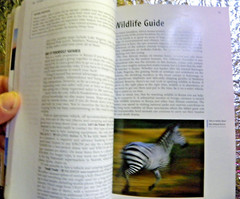 Lonely Planet Kenya (Country Guide) – Paperback By Tom Parkinson 2006 Tour Book