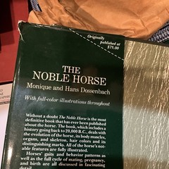 The Noble Horse by Monique and Hans Dossenbach (HCDJ, 1983) Dust Jacket Damaged