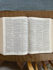 Kirkbride Thompson Chain Reference Bible NIV Red Letter Bonded Leather