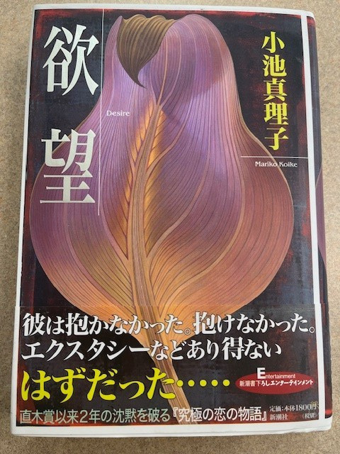 DESIRE by Mariko Koike 1997 Shinchosha Japanese ISBN 9784104098026 VG