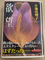DESIRE by Mariko Koike 1997 Shinchosha Japanese ISBN 9784104098026 VG