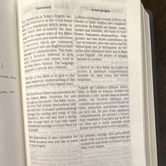 United Bible Societies Bilingual NT Psalms Proverbs Eng/Fre Leather 2004