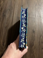 Forget Me Not by Julie Soto – Signed Afterlight edition