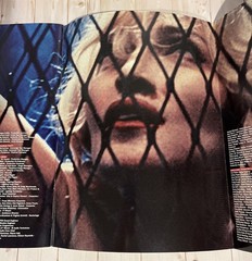 Madonna Rebel Heart Tour Book 2015 Program Concert Photos – 15 x 11 Inches