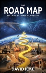 The Road Map: Escaping the Maze of Madness (Paperback or Softback)
