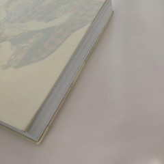 Delicious Ukiyo-e Exhibition 2020 318P HC ⚠️Paraffin 2mm tear