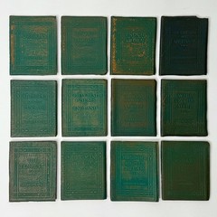 34 Antique Little Leather Library Books 1920s MARY PICKFORD SIGNED Book Error