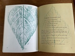 I found a leaf~Sharon Lerner~c1964~3rd ptg 1967~Lerner Publications~HB~36 pages