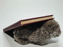 I Dare You! by William H. Danforth 1938 8th Edition Ralston Purina MINT COND