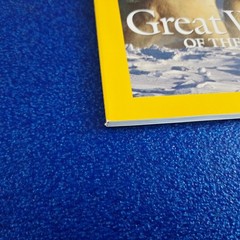 POLAR BEARS, GREAT WHITE OF THE NORTH FEB 2004 NATIONAL GEOGRAPHIC MAGAZINE