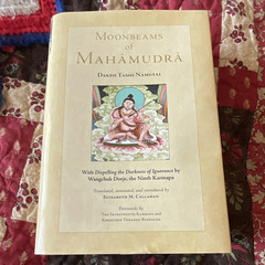 Snow Lion Moonbeams of Mahāmudrā Dakpo Tashi Namgyal Paperback Buddhism