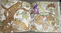 Die Welt unter der Lupe zu Lande RITA BERMAN German Import Nature Coloring Book