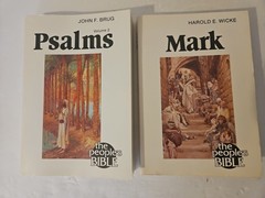 Nice lot of 36 People’s Bible Commentary Paperback Books – Christian – L@@K!