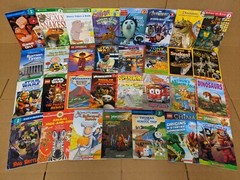Lot of 10 Level 2 BOOKS FOR BOYS~RL~Ready to-I Can Step into Learn Read – RANDOM